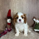 1764459551402371-min