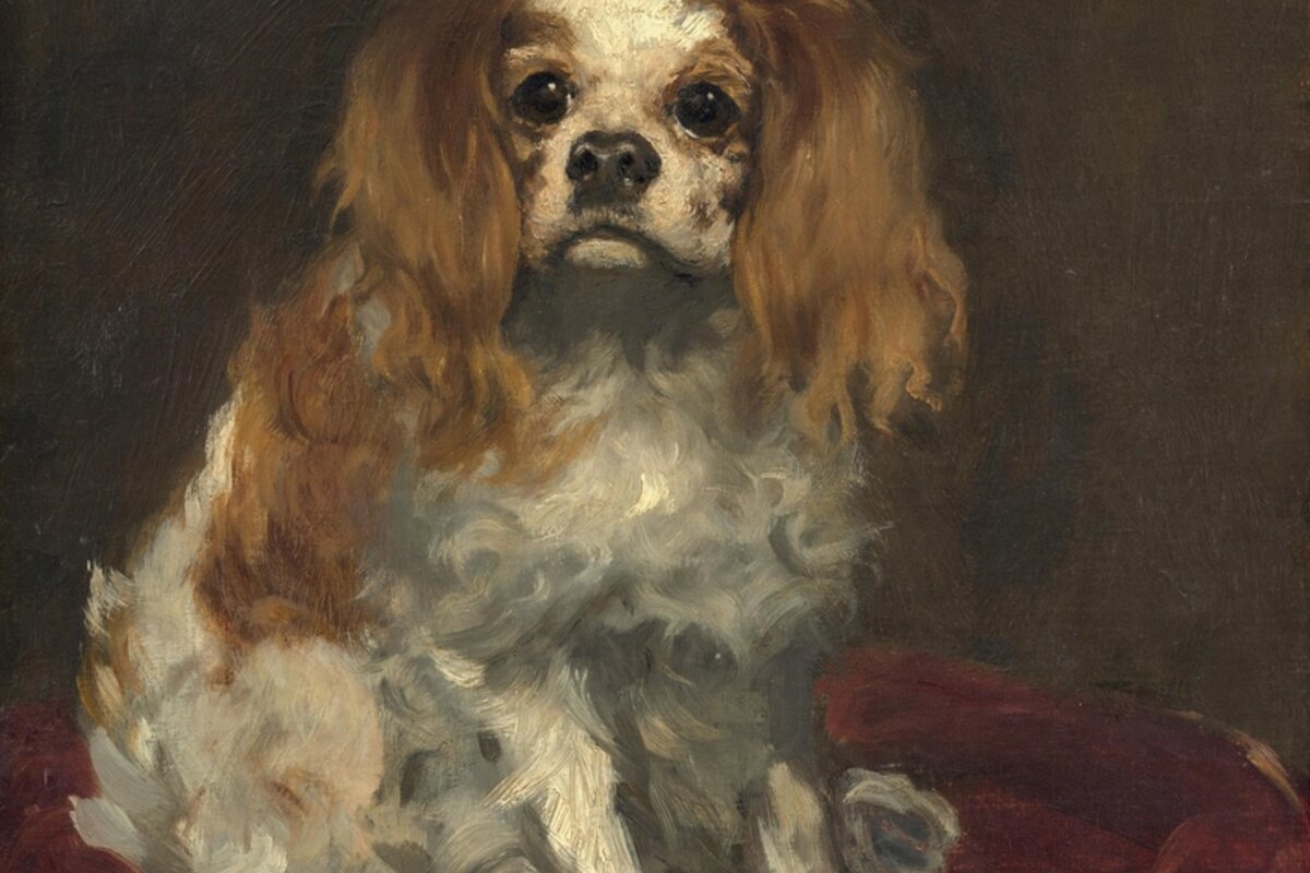 Un ritratto dipinto di un King Charles Spaniel dell'Ottocento, articolo sull'origine della razza